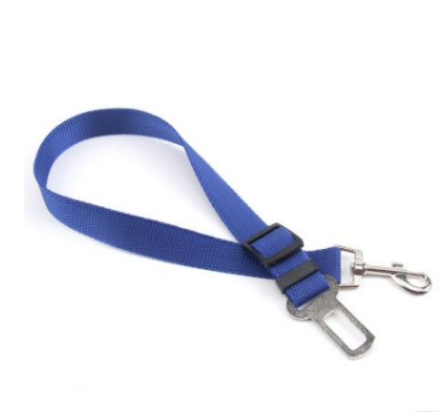 Durable Fixed Strap Polyester Dog Leash – Strong, Comfortable & Secure Pet Walking Harness