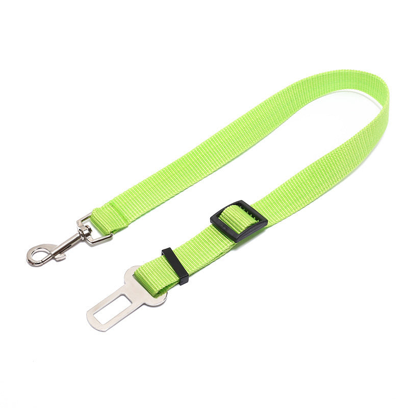 Durable Fixed Strap Polyester Dog Leash – Strong, Comfortable & Secure Pet Walking Harness