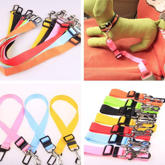 Durable Fixed Strap Polyester Dog Leash – Strong, Comfortable & Secure Pet Walking Harness